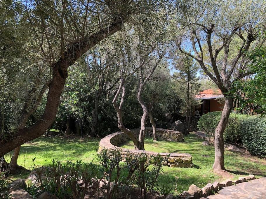 Appartement Il Nido Di Luca A Porto Rotondo Extérieur photo